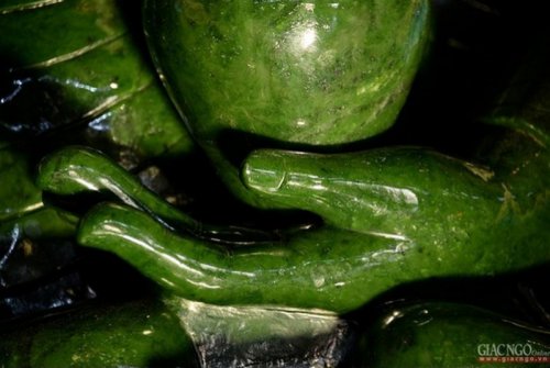 Tay trái trì bình