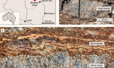 Thợ đào mỏ đá tìm thấy thứ quý hơn vàng: 'nhà' của sinh vật cổ nhất Trái Đất