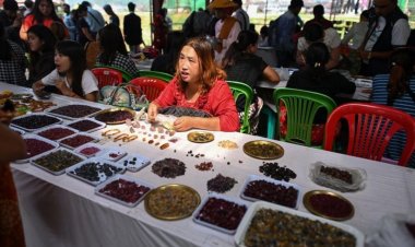 Nổi da gà nghề khai thác đá quý bất chấp mạng sống ở Myanmar