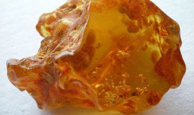 Hổ phách (Amber)