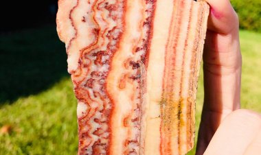 Cận cảnh đá thịt lợn quý hiếm có giá đắt hơn vàng