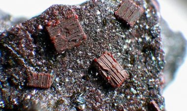 Đột phá trong nghiên cứu khoa học cách xác định vị trí các mỏ đất hiếm chưa được khai thác trên toàn thế giới