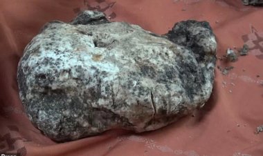 Ngư dân bỗng nhiên giàu sụ sau khi nhặt được 'cục đá hôi thối' ngoài biển