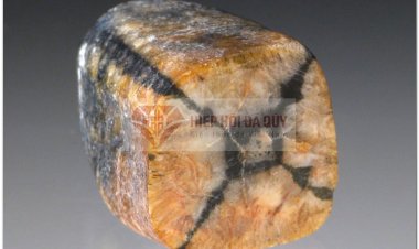 Đá  Andalusite (chiastolite)