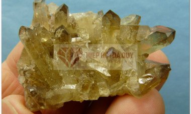 Đá thạch anh vàng tinh thể (Citrine Phantom)