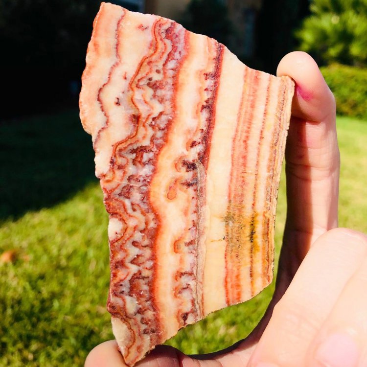 Cận cảnh đá thịt lợn quý hiếm có giá đắt hơn vàng