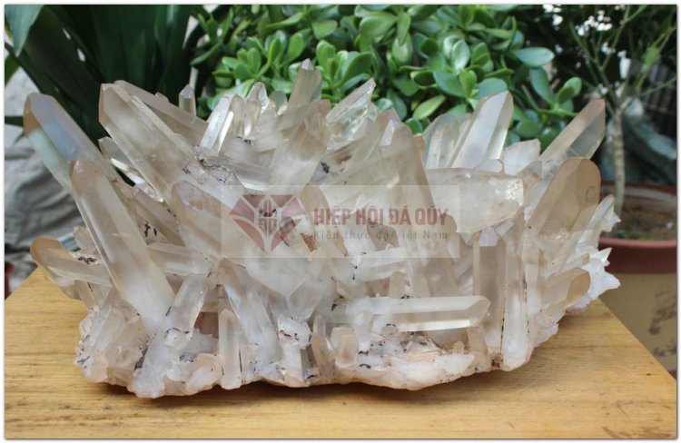 Mỏ đá thạch anh trắng ,Mua đá thạch anh trắng ,Mua đá thạch anh thật ở đâu ,Thạch anh trắng núi ,Bán đá thạch anh nguyên khối ,Thu mua đá thạch anh thô ,Giá đá thạch anh hồng ,thạch anh trắng đục (trắng sữa)