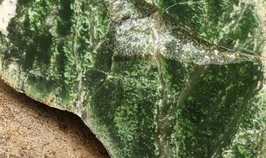 Ngọc bích  Neprhite tự nhiên (Natural indonesian rough jade)