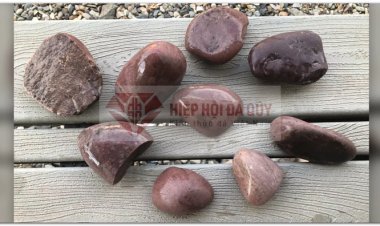 Kho báu rùng mình: Dàn siêu quái thú bụng đầy đá quý, 155 triệu tuổi