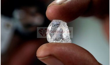 Kim cương cháy hàng