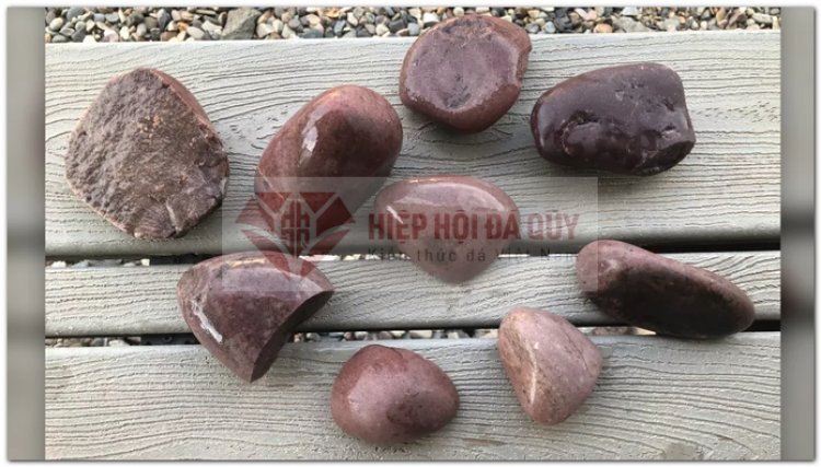 Kho báu rùng mình: Dàn siêu quái thú bụng đầy đá quý, 155 triệu tuổi