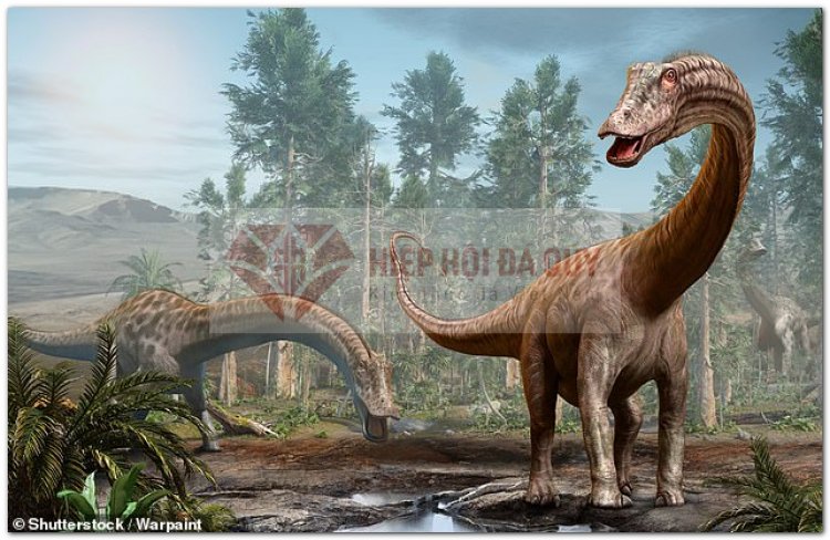 Sauropod tức khủng long cổ dài là những "quái thú" lớn nhất từng bước đi trên các lục địa - Ảnh: WARPAINT