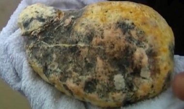 Ngư dân đổi đời nhờ tìm thấy 'bãi nôn của cá voi' trị giá 1,5 triệu USD