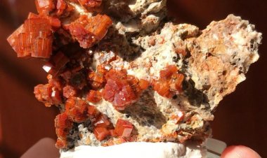 Chàng trai Hải Phòng chi trăm triệu đồng sưu tầm tinh thể đá quý