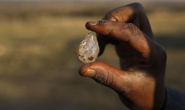 Cơn sốt kim cương bất ngờ ập đến, cả làng rủ nhau đi đào đá quý đổi đời