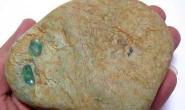 Đi câu cá nhặt được ngọc phỉ thúy, bán giá 7 tỷ: Điều xảy ra sau cuộc mua bán lại càng gây kinh ngạc