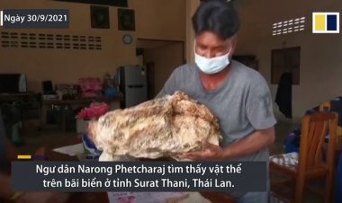 Ngư dân tìm thấy khối long diên hương 30 kg quý giá