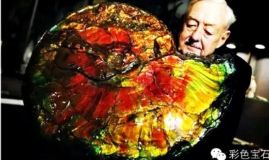 Ammolite đá quý hiếm hơn cả kim cương là hóa thạch của sinh vật cổ đại