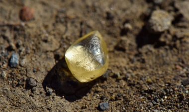 Du khách nhặt được kim cương trong công viên