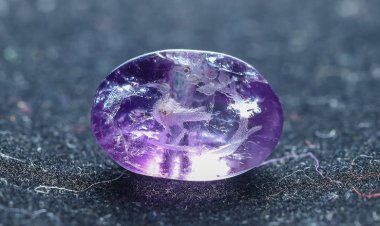 Phát hiện viên ngọc tím 2.000 năm tuổi khắc hình một con chim và cành balsam 5 quả