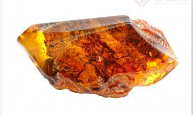 Hổ Phách (AMBER)