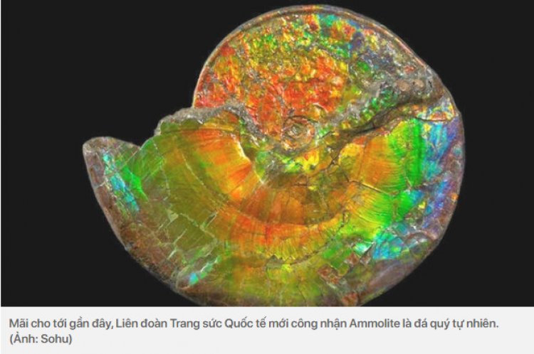 Ammonite, đá Ammolite