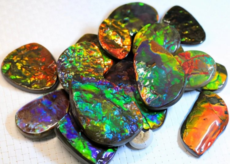 Ammonite, đá Ammolite