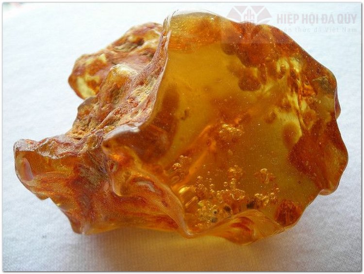 Hổ Phách (AMBER)
