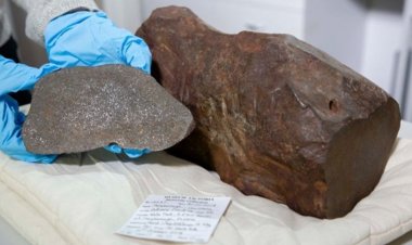 Người đàn ông nhầm thiên thạch 17 kg là khối vàng