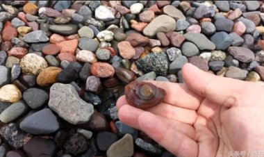 Thành phố có quá nhiều đá quý, nhà chức trách vội tổ chức cuộc thi để giảm bớt số lượng