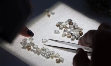 Dầu có thể 'ế' nhưng cả thế giới đang tranh giành để mua một thứ từ Nga