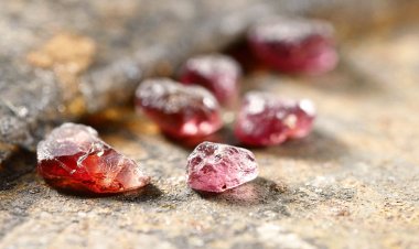 Nghị định 65/CP: Ban hành quy chế quản lý các hoạt động trong lĩnh vực đá quý