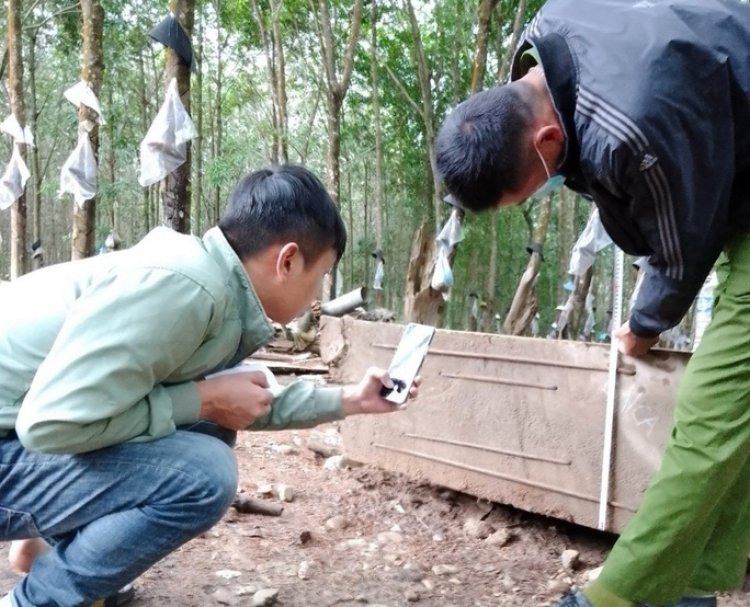 Đào được khúc gỗ dưới ruộng, báo chính quyền, công an vẫn tạm giữ
