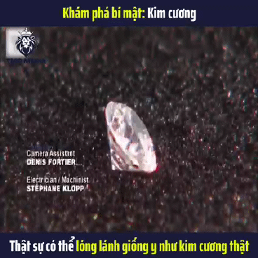 Nuôi kim cương như nào?