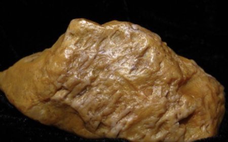 Lão nông đào măng đụng phải hòn đá có giá gần 2.000 tỷ