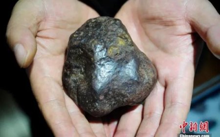 Nhặt được viên đá lạ, người chăn gia súc không ngờ đó viên thiên thạch hơn 4 tỷ năm tuổi, có giá hơn 200 tỷ