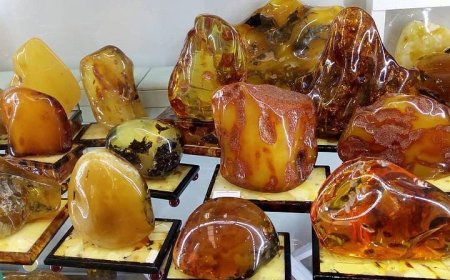 Đá Hổ Phách có ở những đâu và chúng được khai thác như thế nào?