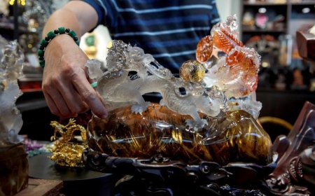 Chiêm ngưỡng bộ sưu tập rồng đá quý của Trần Huy Doanh và Trần Duy Khoa tại Phú Nhuận, TP.HCM