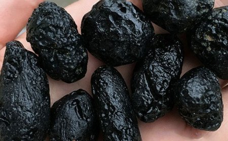 Tektite: Bí Ẩn Thủy Tinh Từ Vũ Trụ và Ý Nghĩa Phong Thủy Của Nó