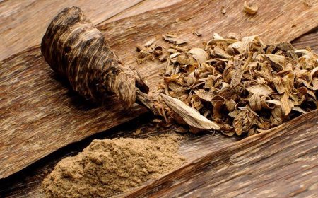 Cách Thử và Phân Biệt Trầm Hương Thật Giả: Hướng Dẫn Chi Tiết