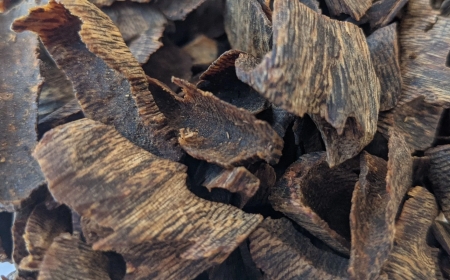 Các Loại Trầm Hương và Đặc Điểm Nhận Biết: Hướng Dẫn Từ Chuyên Gia