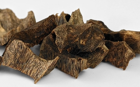 Quá Trình Hình Thành Trầm Hương Trong Tự Nhiên: Một Hiện Tượng Kỳ Diệu Của Thiên Nhiên