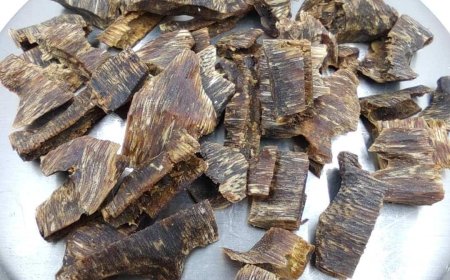 Những Câu Chuyện Văn Hóa Xung Quanh Trầm Hương: Di Sản và Truyền Thuyết