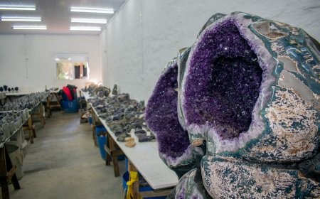 Hướng Dẫn Đầu Tư Vào Thạch Anh Tím: Cơ Hội và Rủi Ro