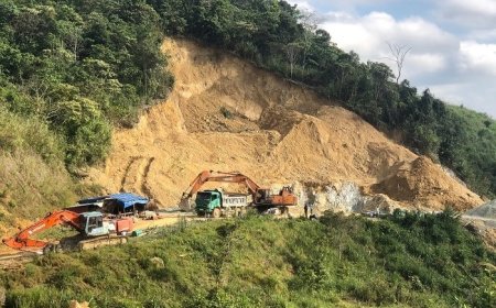 Lịch Sử và Phát Triển Ngành Đá Quý Tại Việt Nam