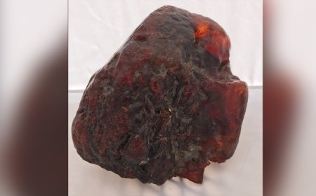 Khối Hổ Phách 1,1 Triệu USD Bị Dùng Làm Đá Chặn Cửa Tại Romania: Câu Chuyện Ly Kỳ Và Giá Trị Khổng Lồ