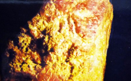 Viên Đá Quý Lớn Nhất Việt Nam – Bảo Vật Quốc Gia Từng Gây Sửng Sốt Thế Giới